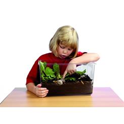 Plastik Terrarium